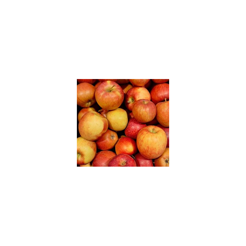 Kohlrabi-Apfel-Rohkost