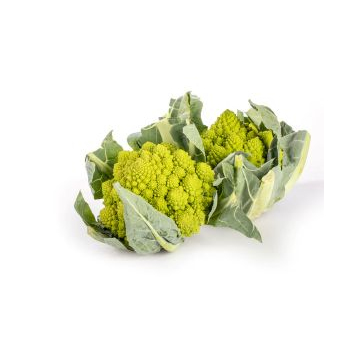 Romanesco