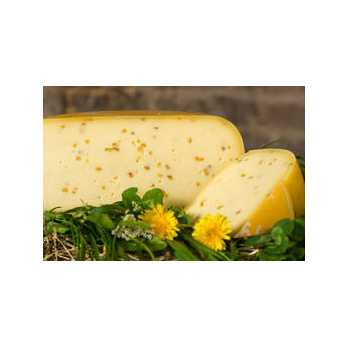 Bollheimer Gouda mit Bockshornklee