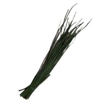 Schnittlauch Bund