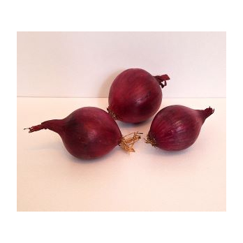 Zwiebeln rot