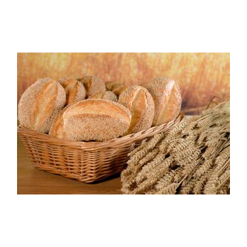 BioSesam Brötchen