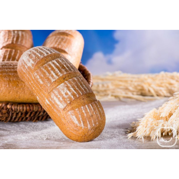Bio GrauBrot