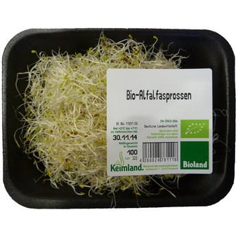 Alfalfasprossen