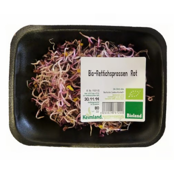 Rettichsprossen rot