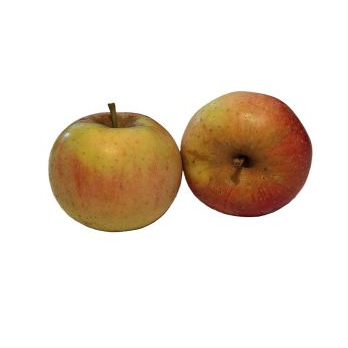 Apfel Renette