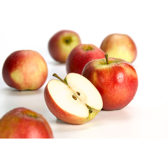 Apfel Elstar