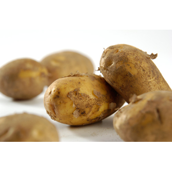 Kartoffel Marabel 2,5 kg vorw. festkochend